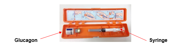 glucagon hypo kit 